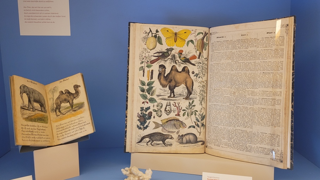 Zwei aufgeklappte historische Bücher mit Abbildungen von Elefanten, Kamelen und Pflanzen.